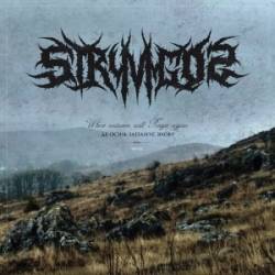 Stryvigor : Where Autumn Prevail Again